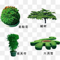 园林绿化 城市中的绿色诗意与生态画卷