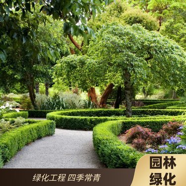 安宁欣欣草坪种植园 匠心筑绿，绘就园林绿化新画卷